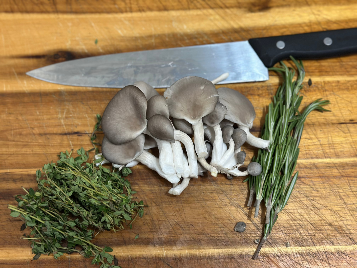 Blue Oyster 250g