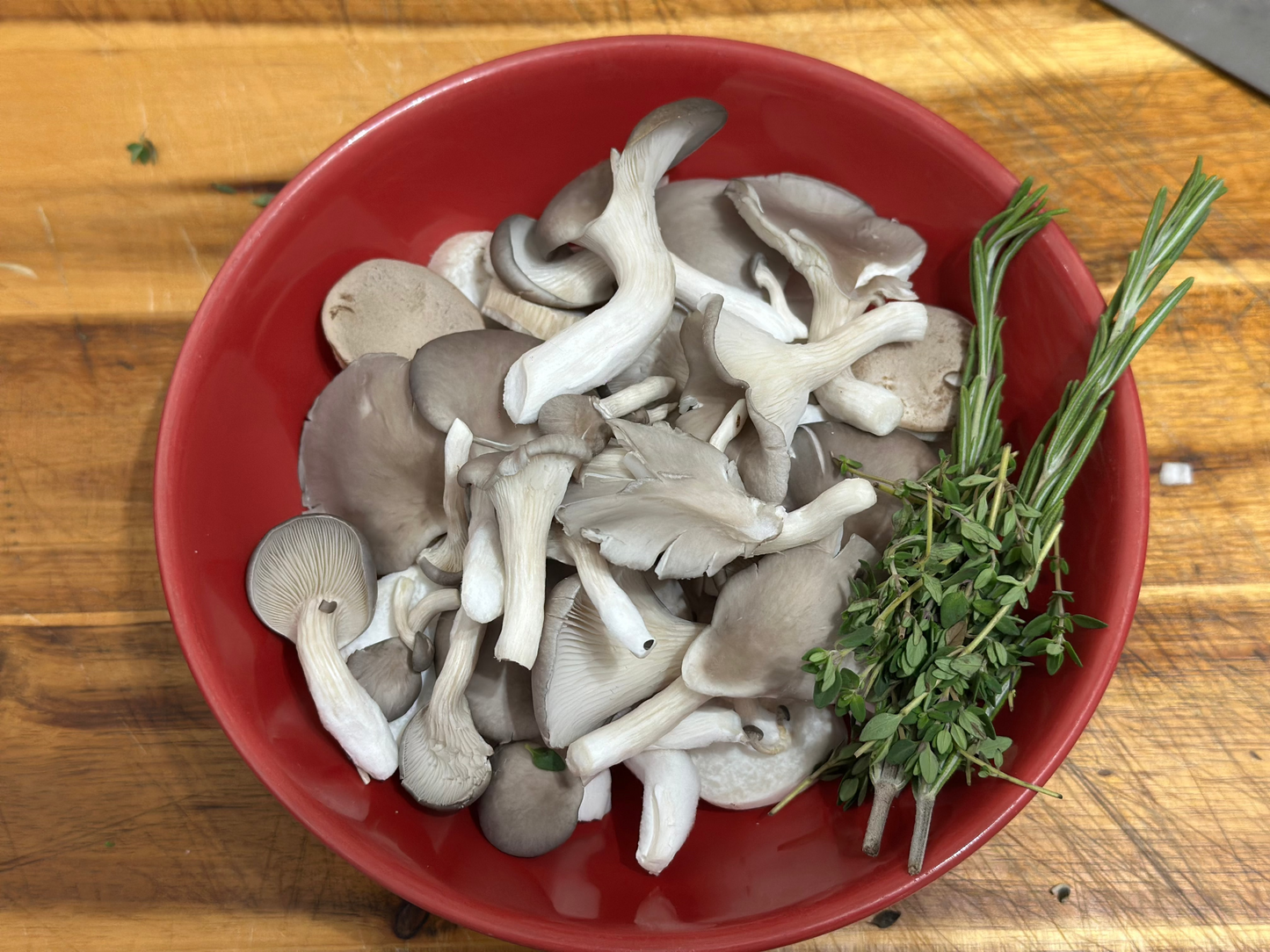 Blue Oyster 250g